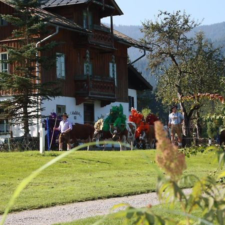 Gaestehaus Hoegerhof Hopfgarten im Brixental Εξωτερικό φωτογραφία