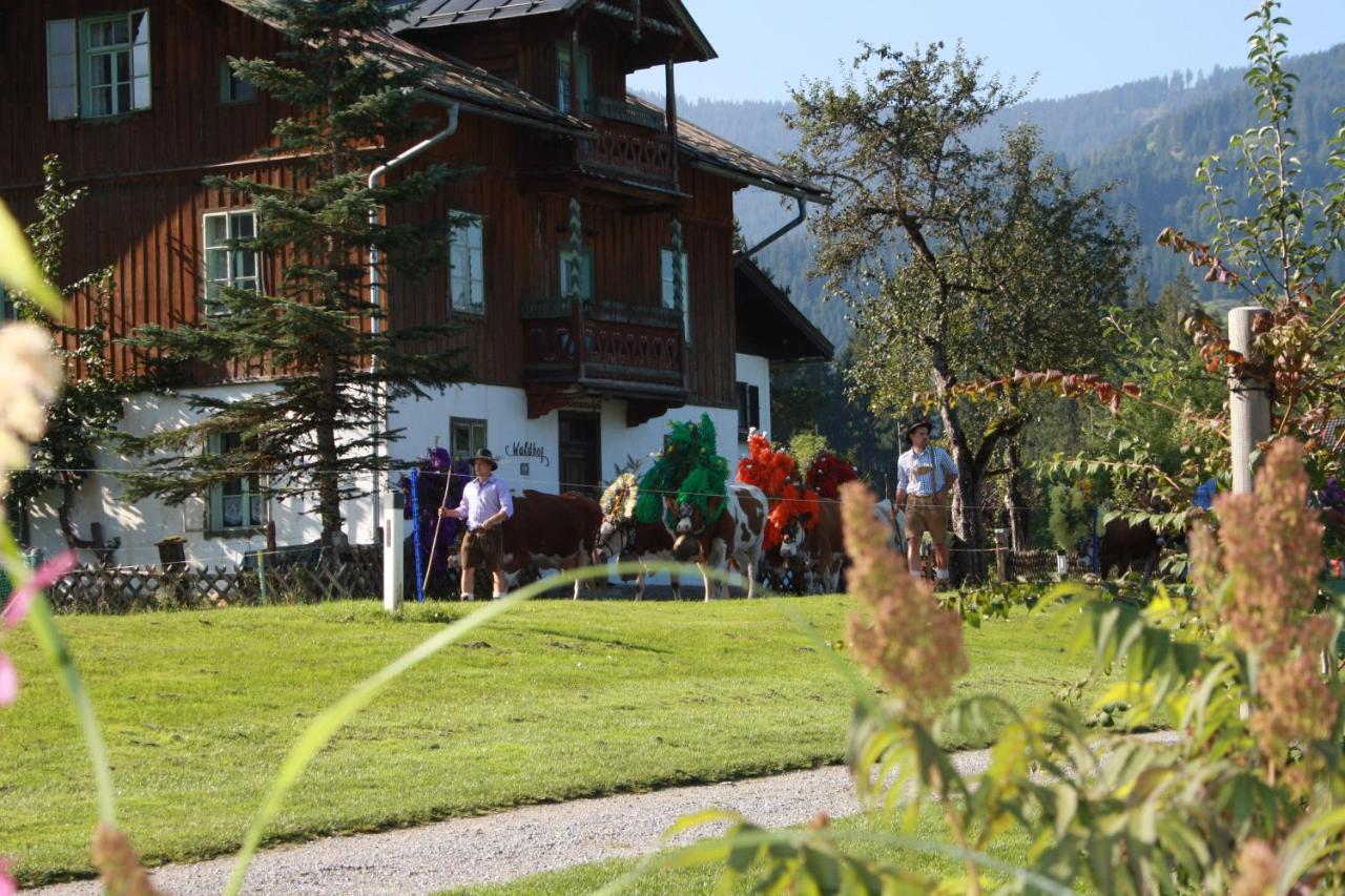 Gaestehaus Hoegerhof Hopfgarten im Brixental Εξωτερικό φωτογραφία